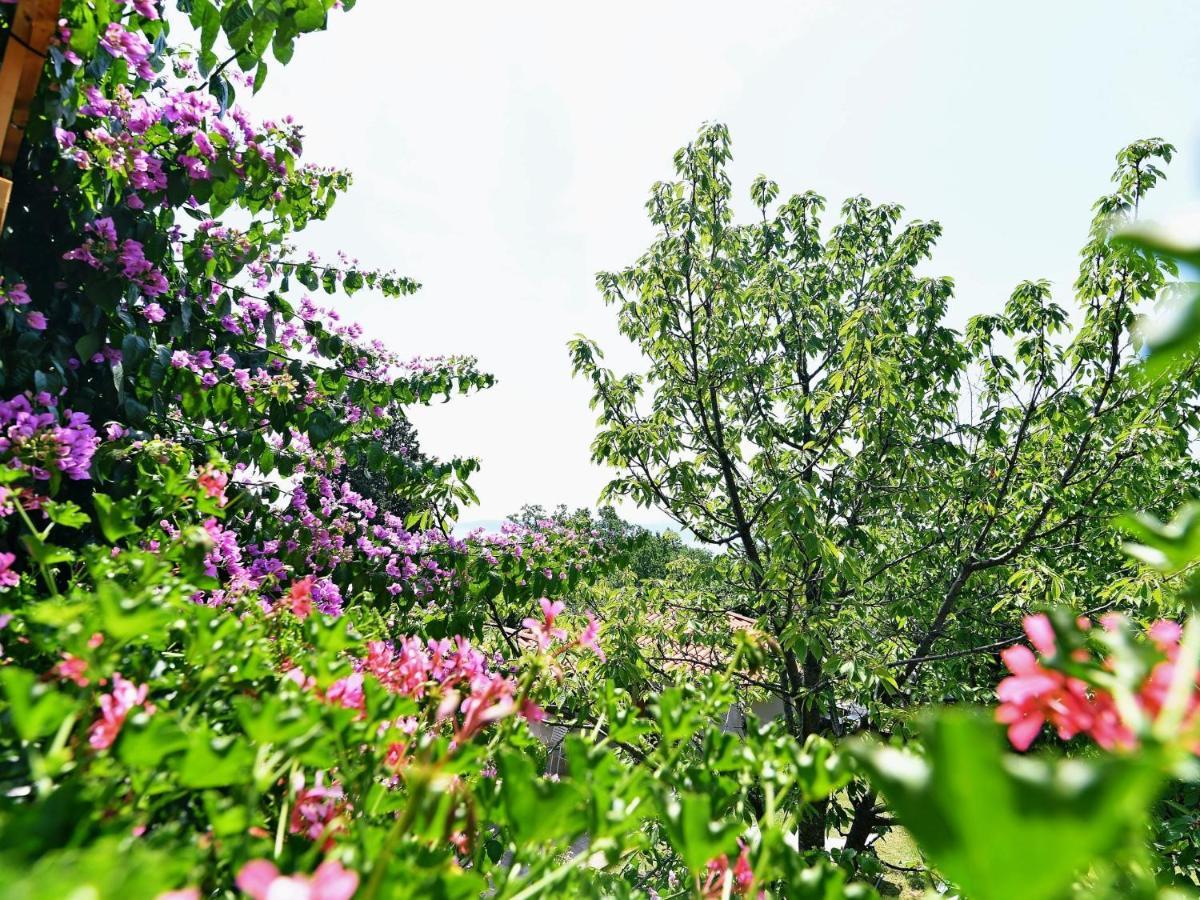 Bed&Breakfast Rooms Valentin Mošćenička Draga Buitenkant foto